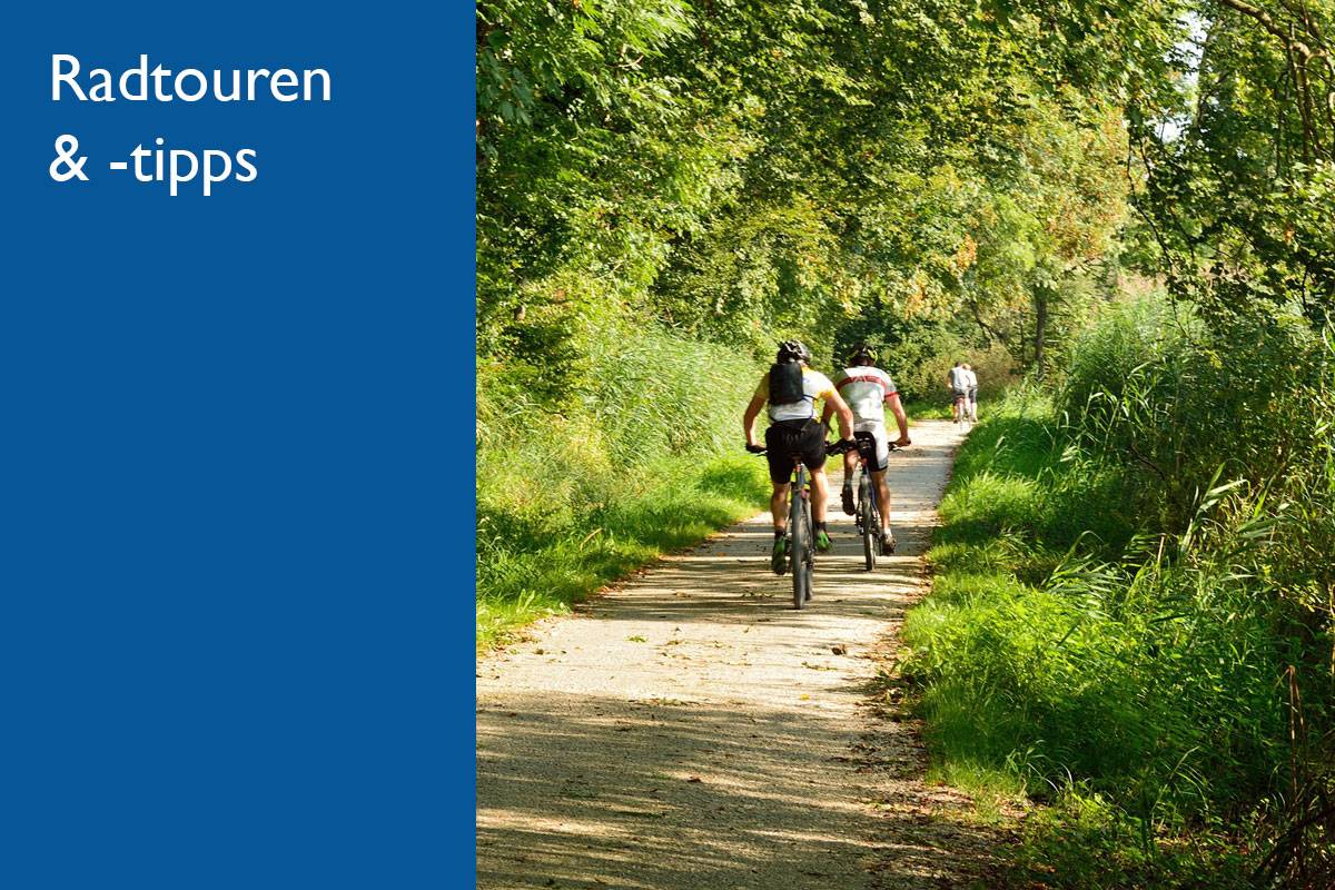 Radfahrer im Wald