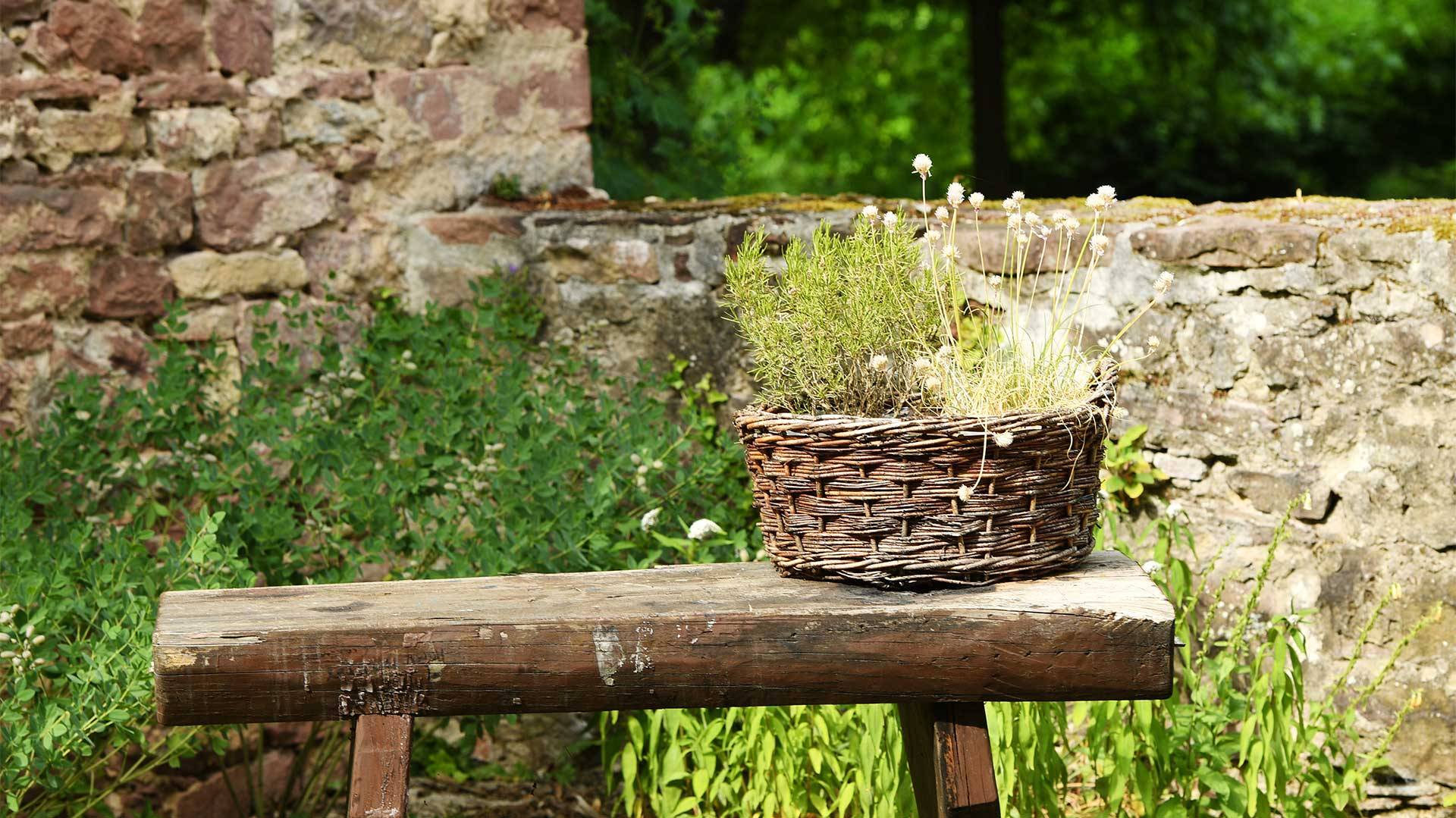 Ansicht vom Garten mit Holzbank und Blumenkorb im Bildungshaus Neckarelz